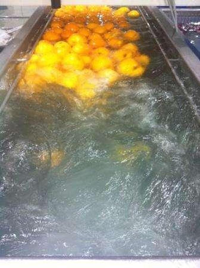 Used Standard Salad Flume Washer