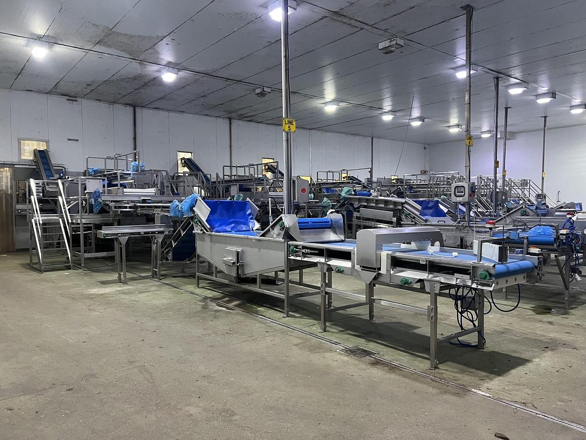 Used Continuous Potato Peeling Line