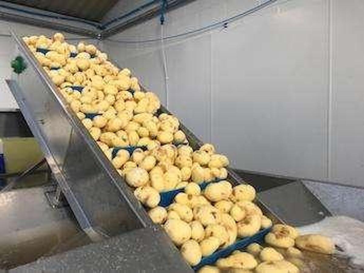 Used JayCraft Potato Batch Peeler