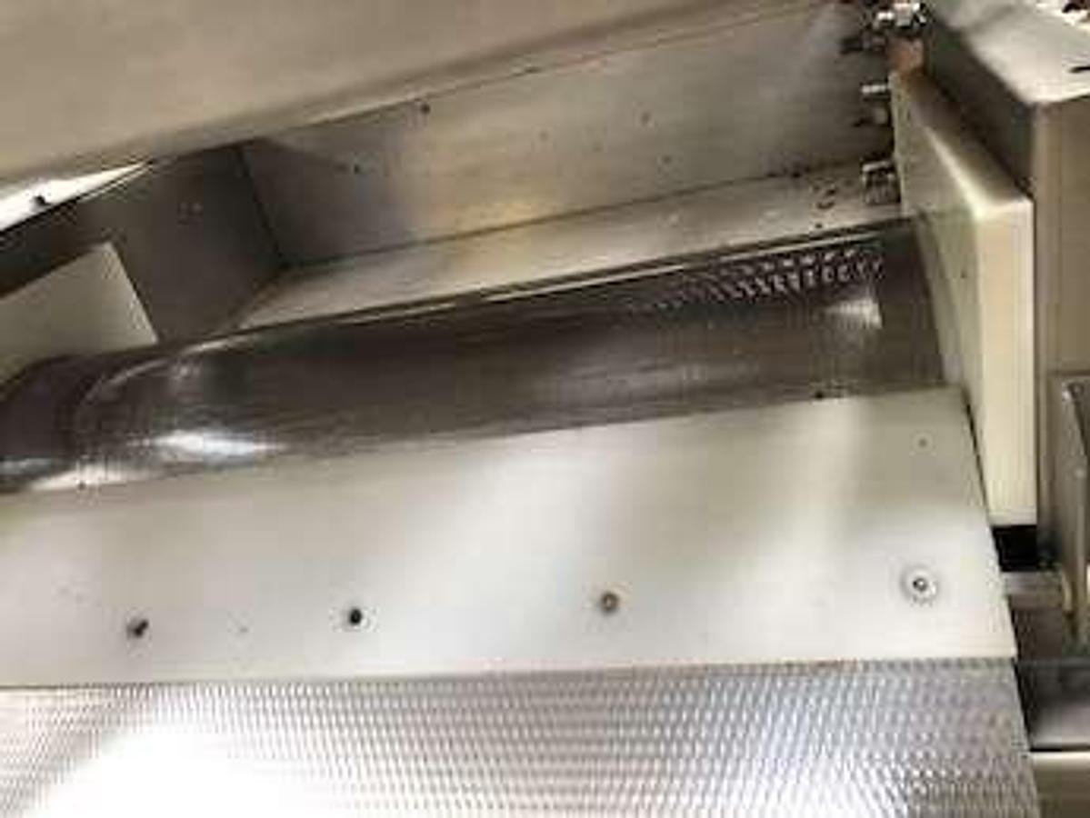 Used Flume Washer & Recirculating Tank