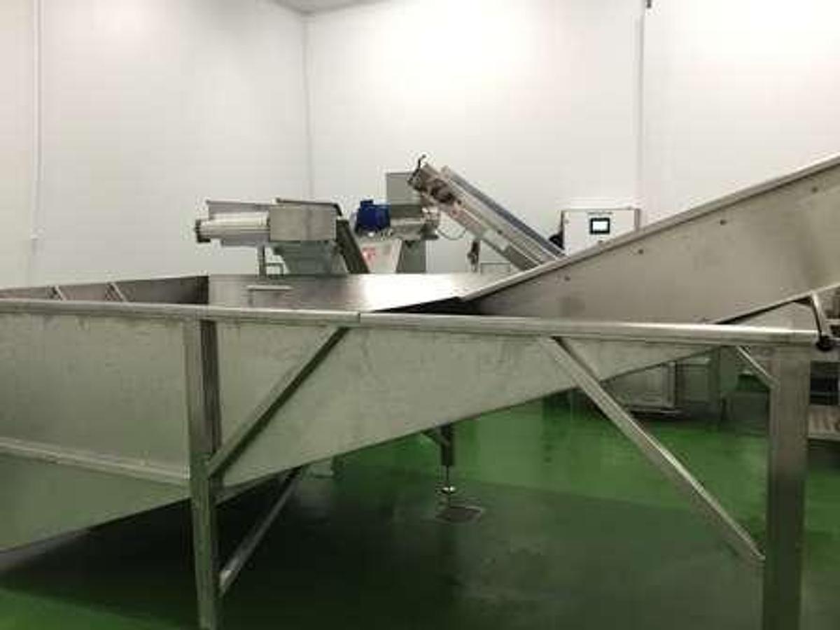 Used Jaycraft Peeling Line 7
