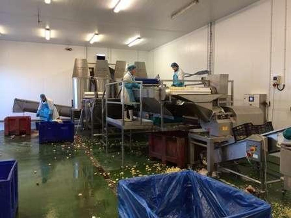 Used JayCraft Peeling line 1