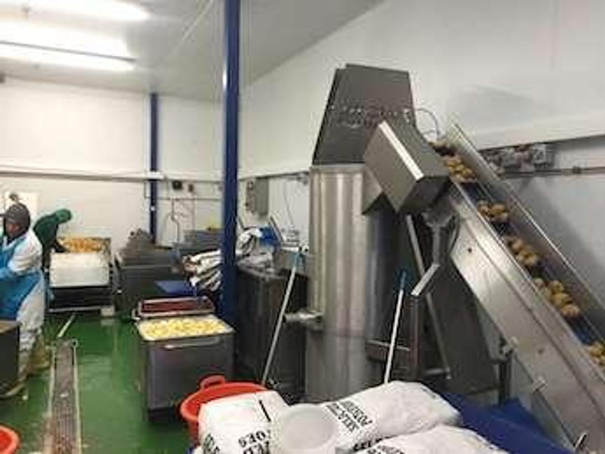 Used JayCraft Peeling line 10