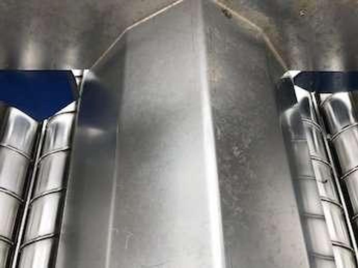 Used Twin Singulator With hopper