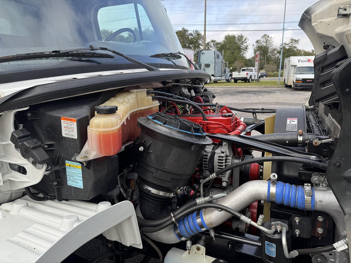 Used 2019 Freightliner® M2 106