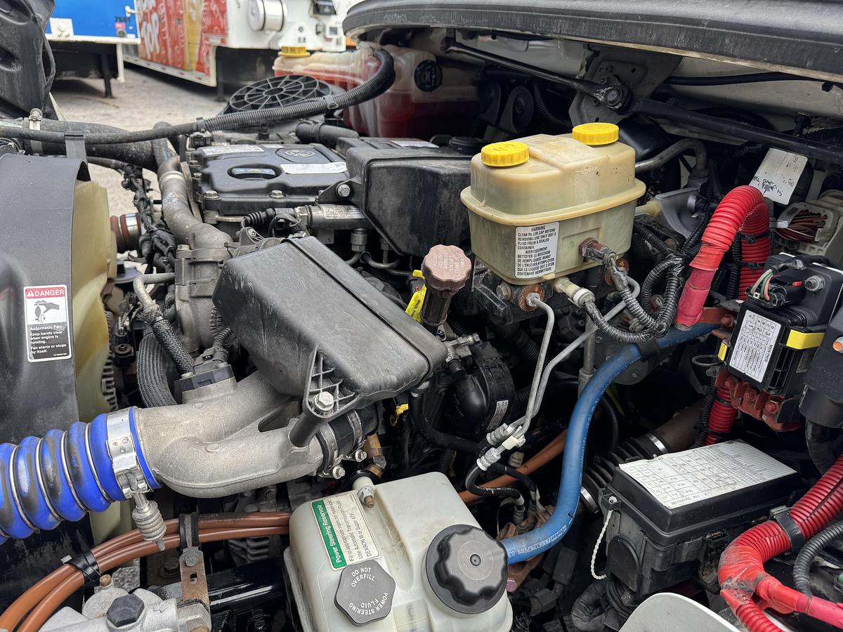 Used 2019 Freightliner® M2 106