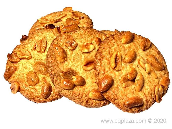 ROTOR LINE WKB-600 Роторна формувальна лінія з конвеєром і додатковим обладнанням