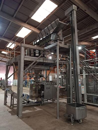 Used Linha automática de embalar vegetais ISHIDA