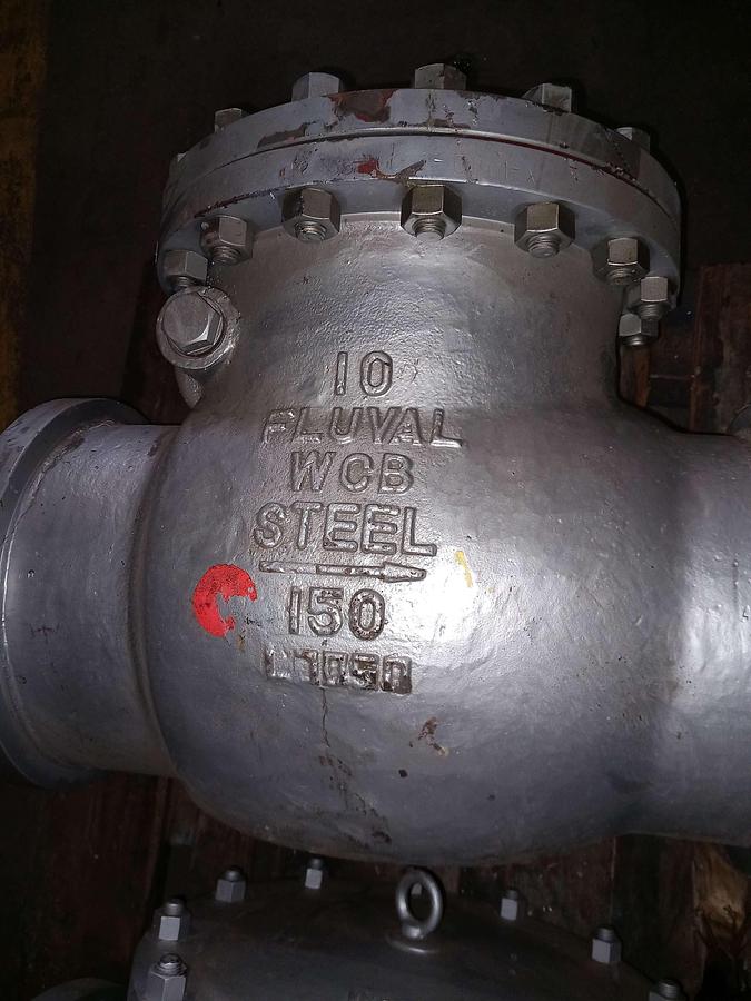 Used 2008 Valvula borboleta Fluval WCB DN-250