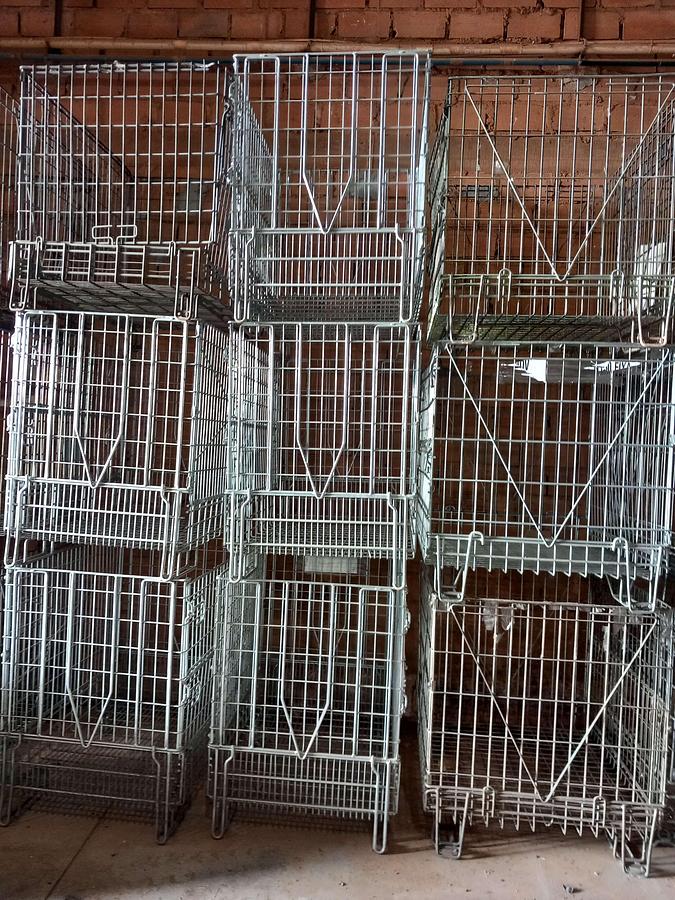 Used Cestos de arame grandes