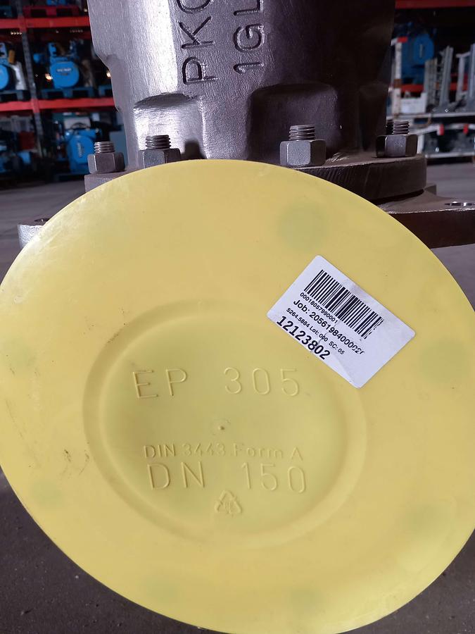 Used Valvula de segurança flangeada Leser DN100/DN150