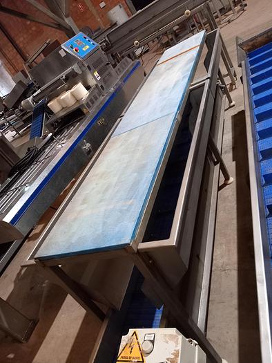 Used Bancada de seleção e triagem com tapete transportador