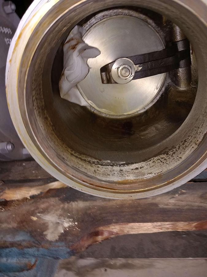 Used 2008 Valvula borboleta Fluval WCB DN-250