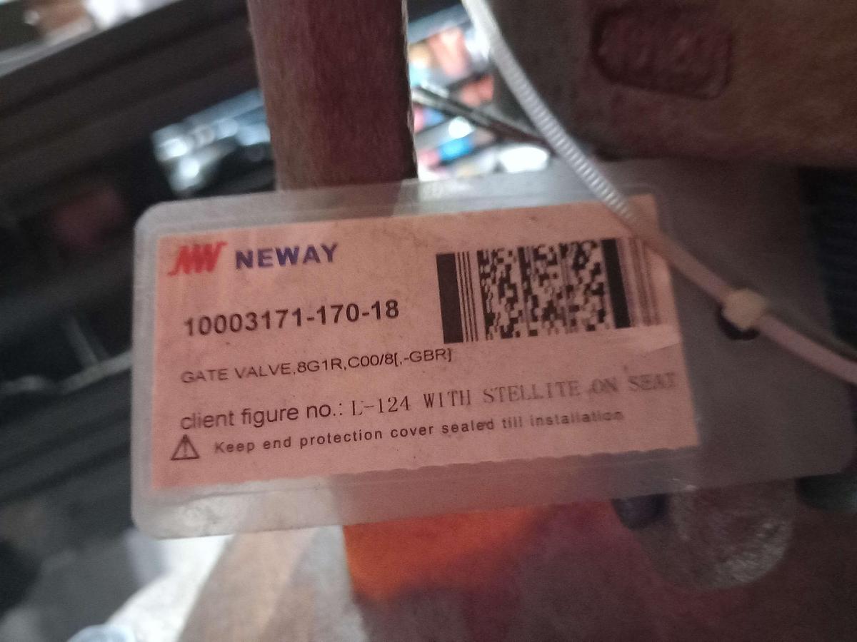 Used 2016 Neway Valve WCB DN-200