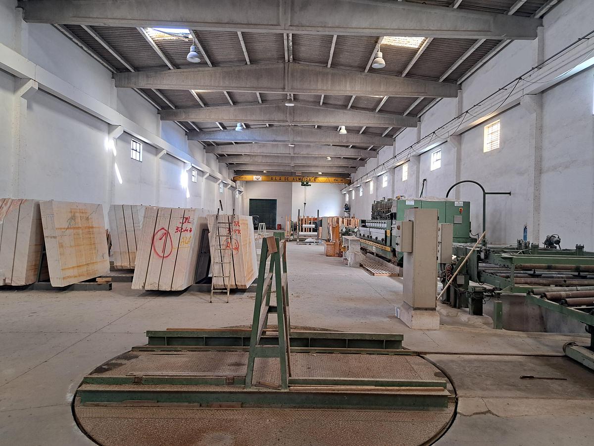 Used Linha de polimento de chapa BARSANTI MACHINE