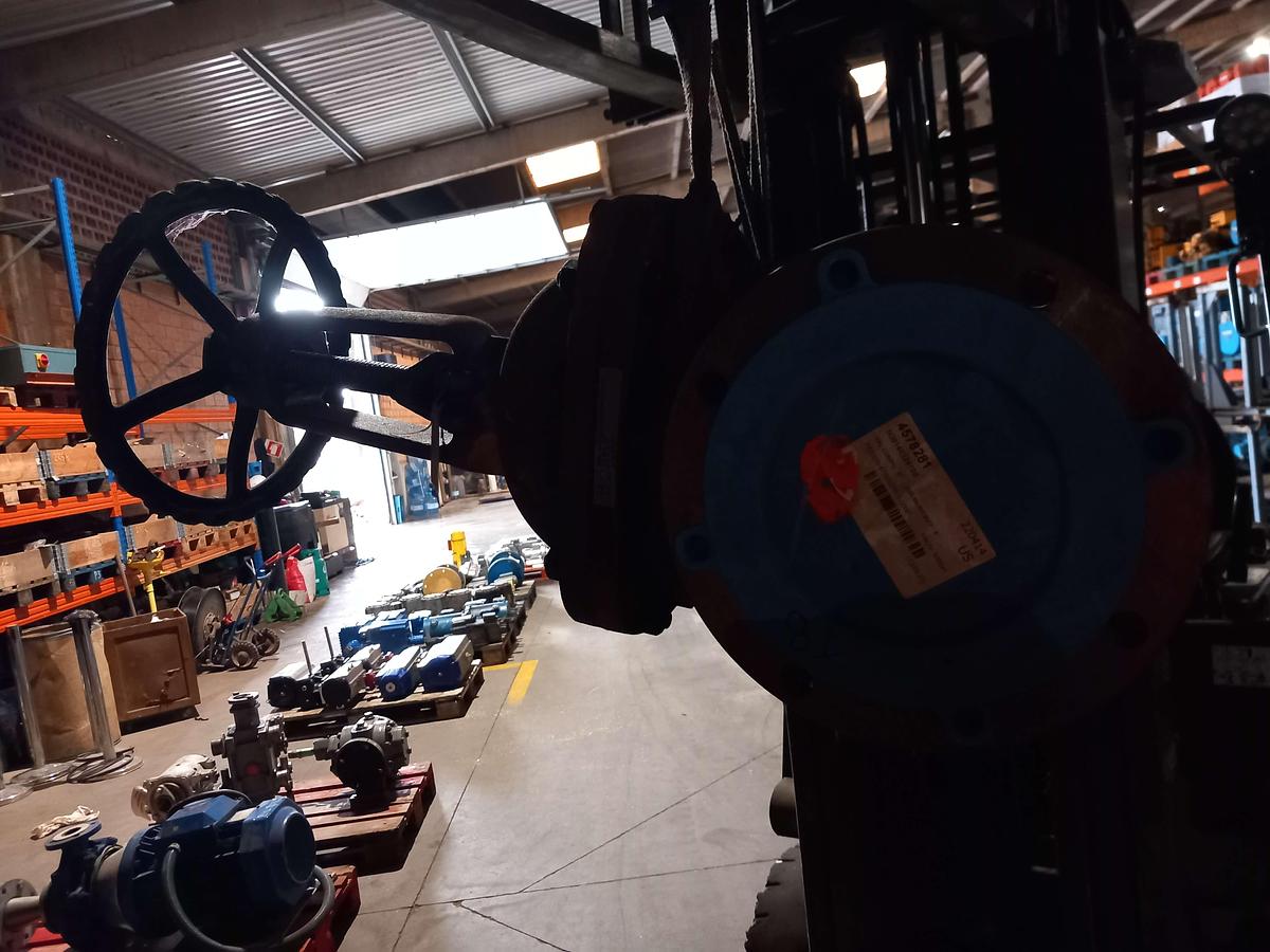 Used 2016 Neway Valve WCB DN-200