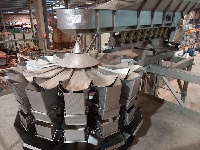 Used Linha automática de embalar vegetais ISHIDA