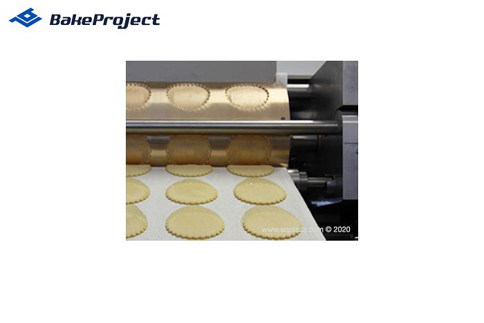 ROTOR LINE WKB-600 rotary molding line with conveyor and additional equipment