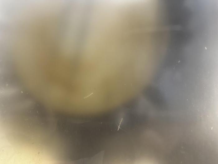 Installata 2006 BRIDGEPORT XR 1000