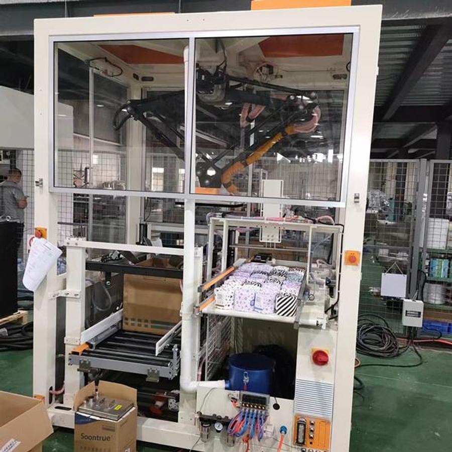 Automatic Case Packer Machine For Facial Tissue ZX660B