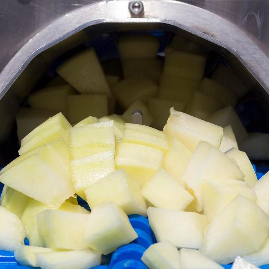 Fruit Slicer and Shredder