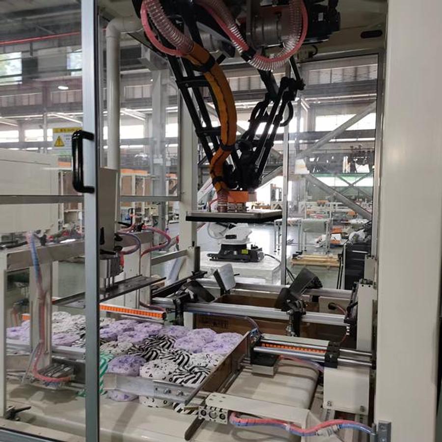 Automatic Case Packer Machine For Facial Tissue ZX660B