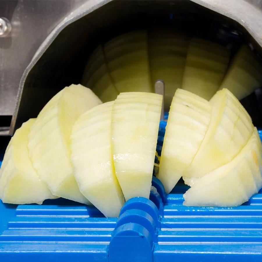 Fruit Slicer and Shredder