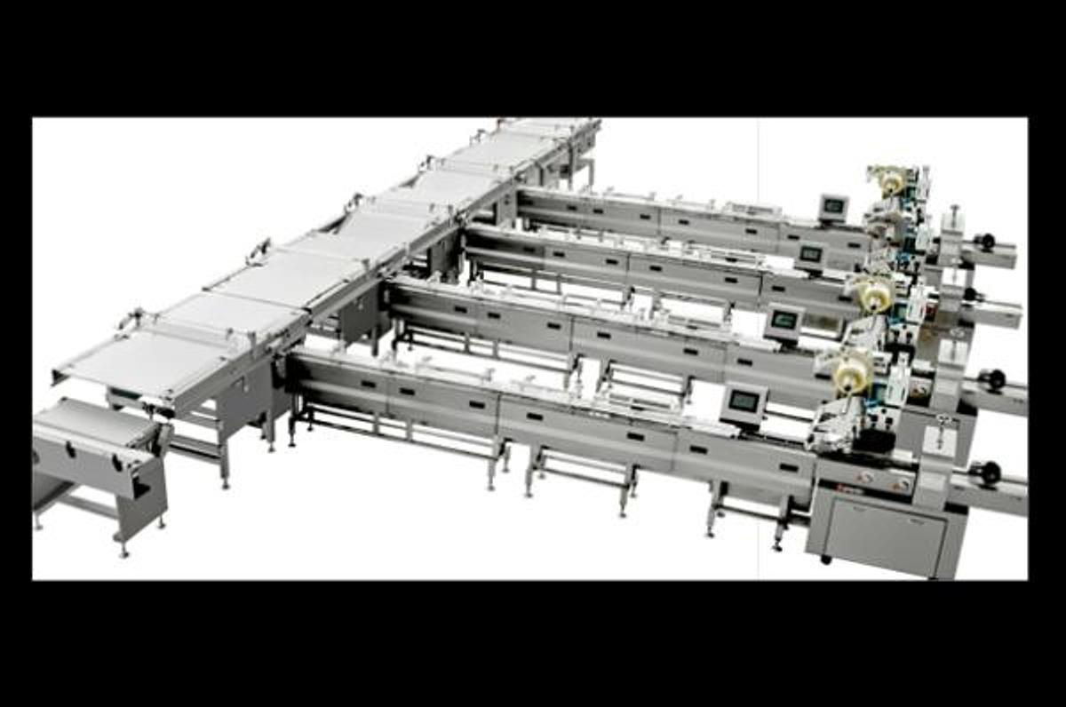 Automatic Sorting Pillow Packing Line