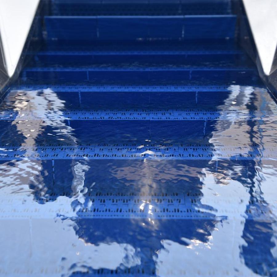 Fruit Washing Machine