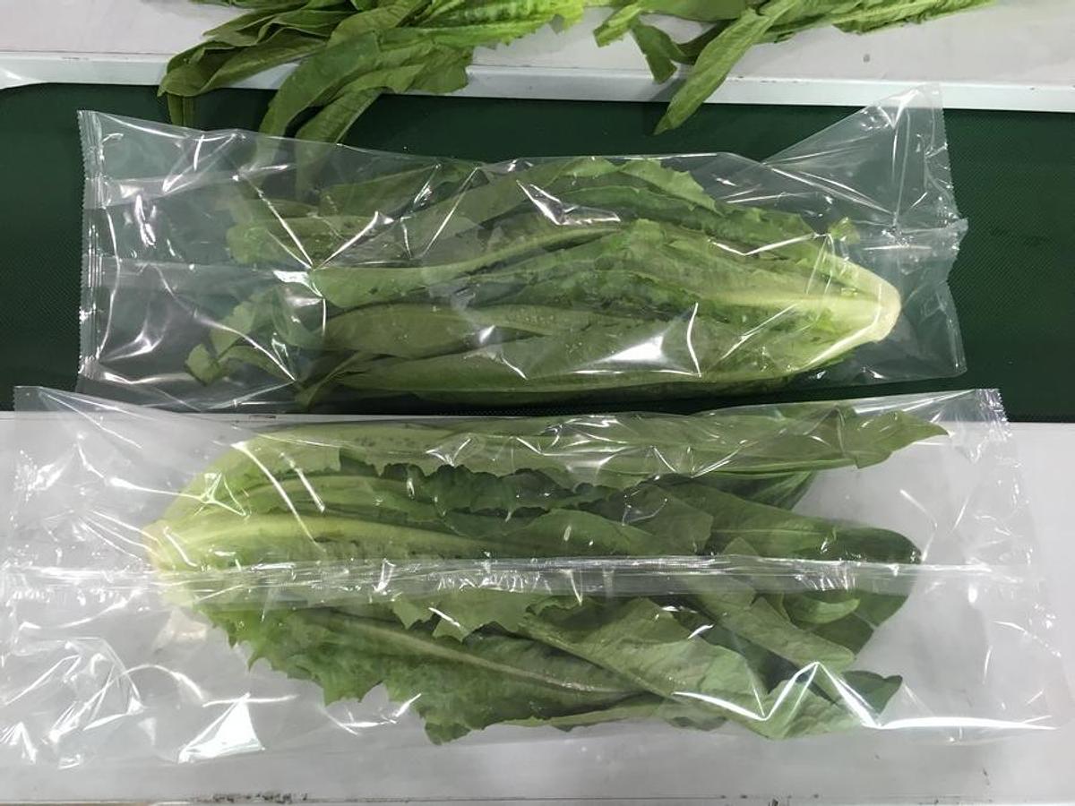 Vegetable packaging machine