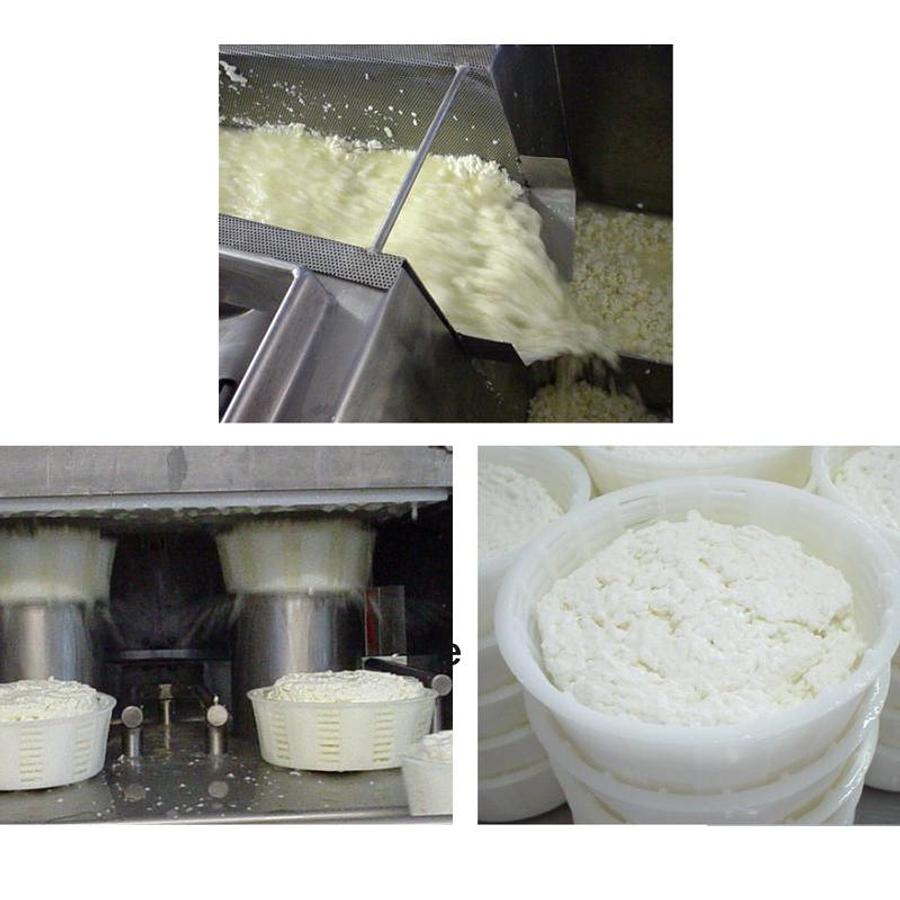 Plants for the production of hard, semi-hard and soft cheeses