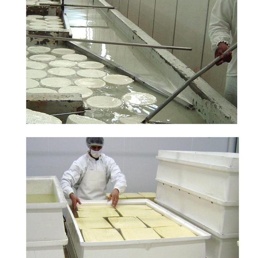 Plants for the production of hard, semi-hard and soft cheeses