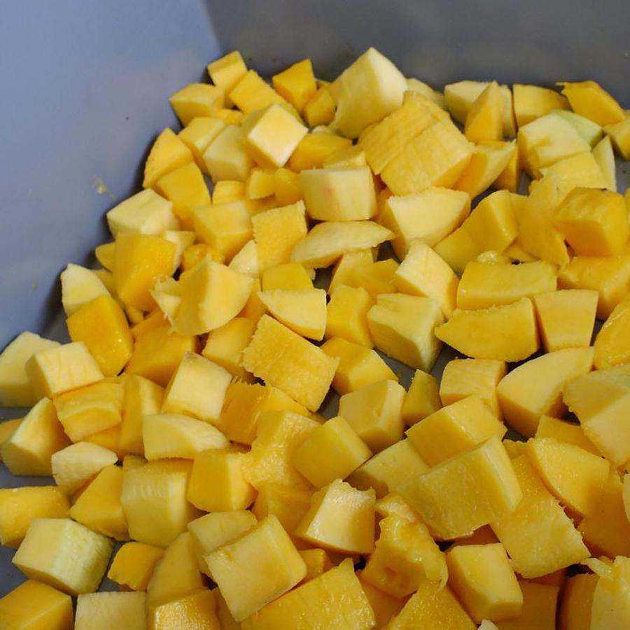 Fruit Slicer and Shredder