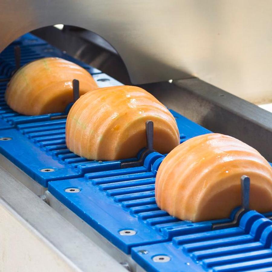 Fruit Slicer and Shredder