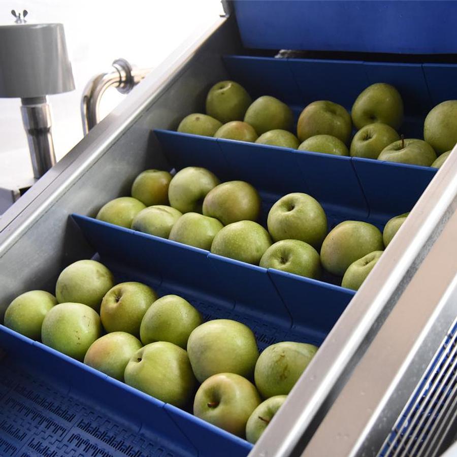 Fruit Washing Machine