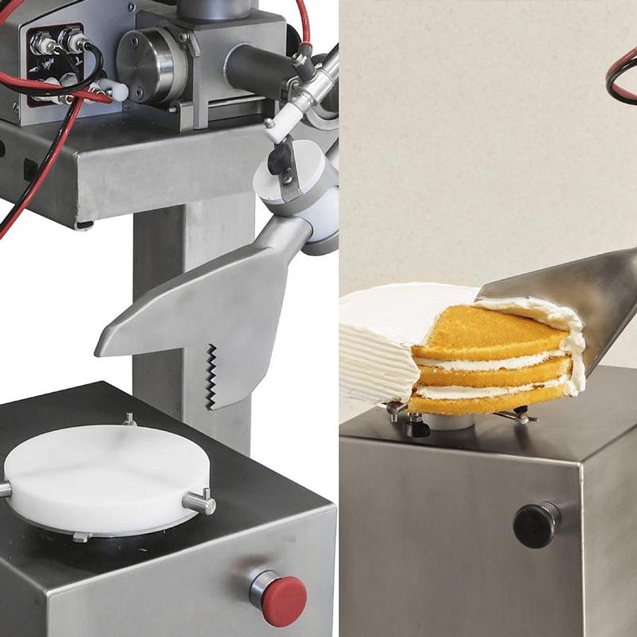 BELCAKE ADVANCED DEPOSITOR