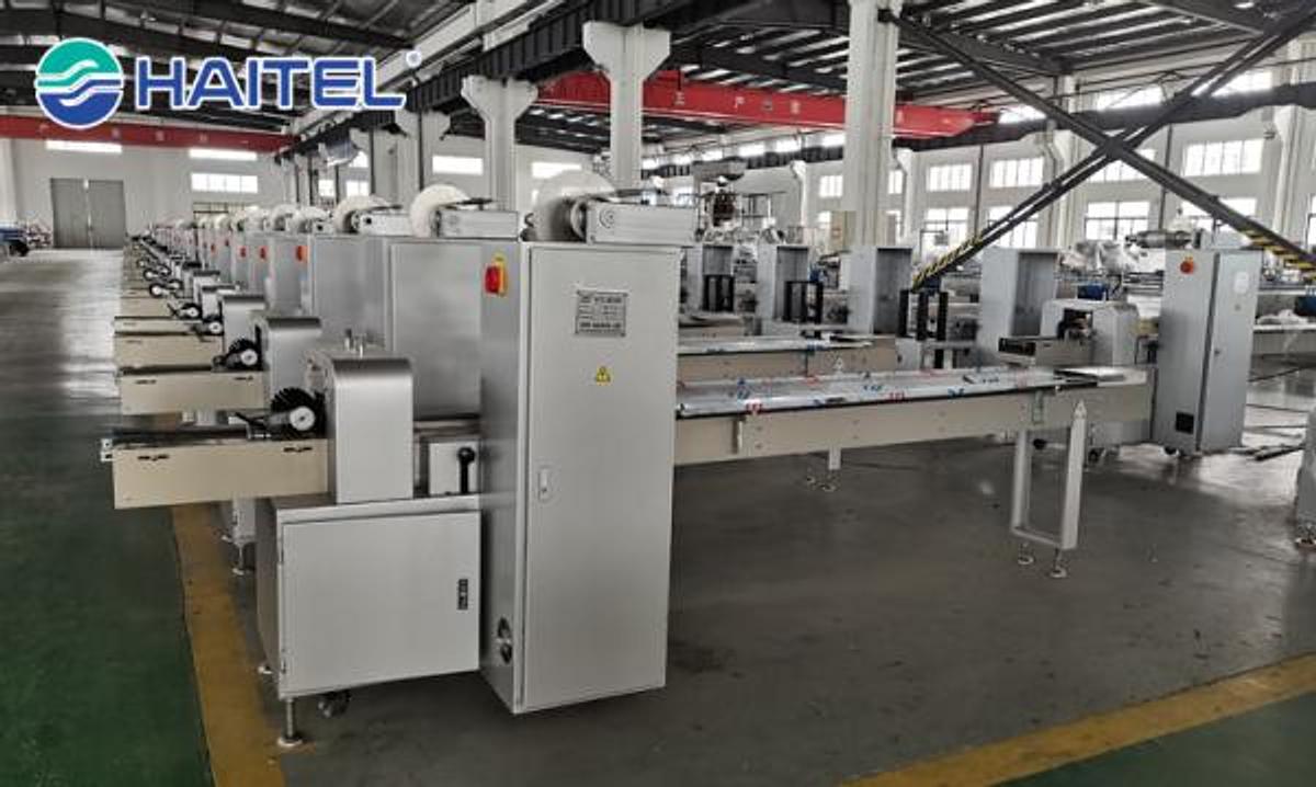 Pillow Type Packaging Machine HTL-280B/350/450/550