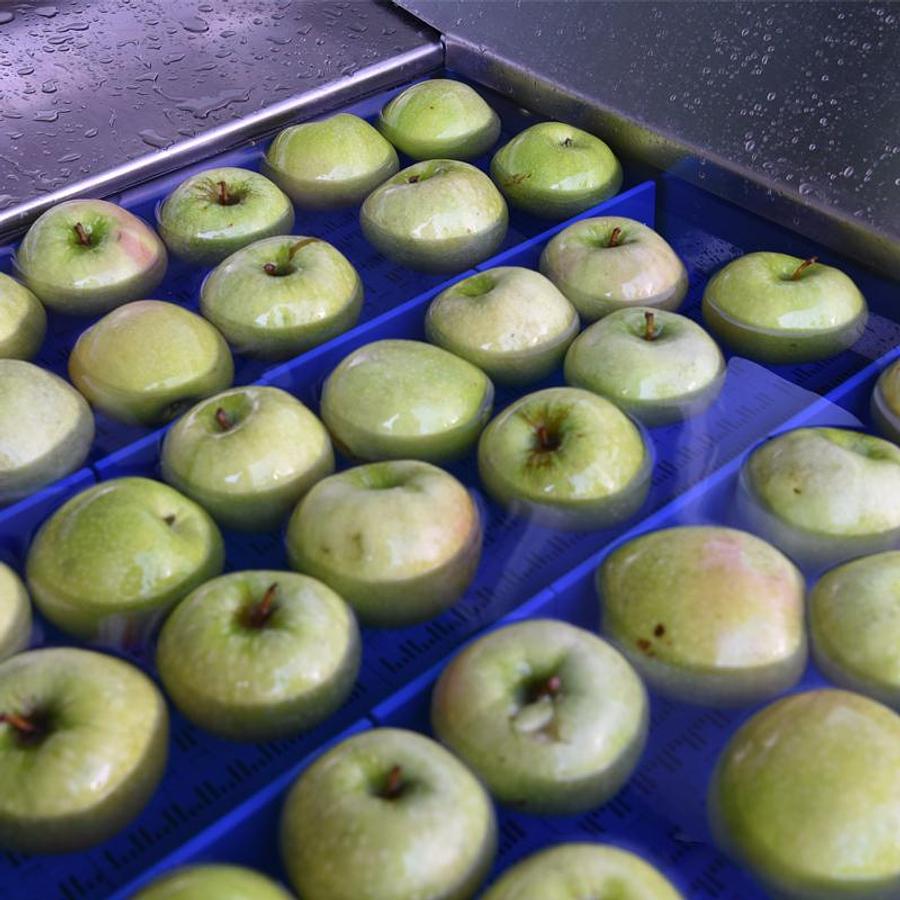 Fruit Washing Machine