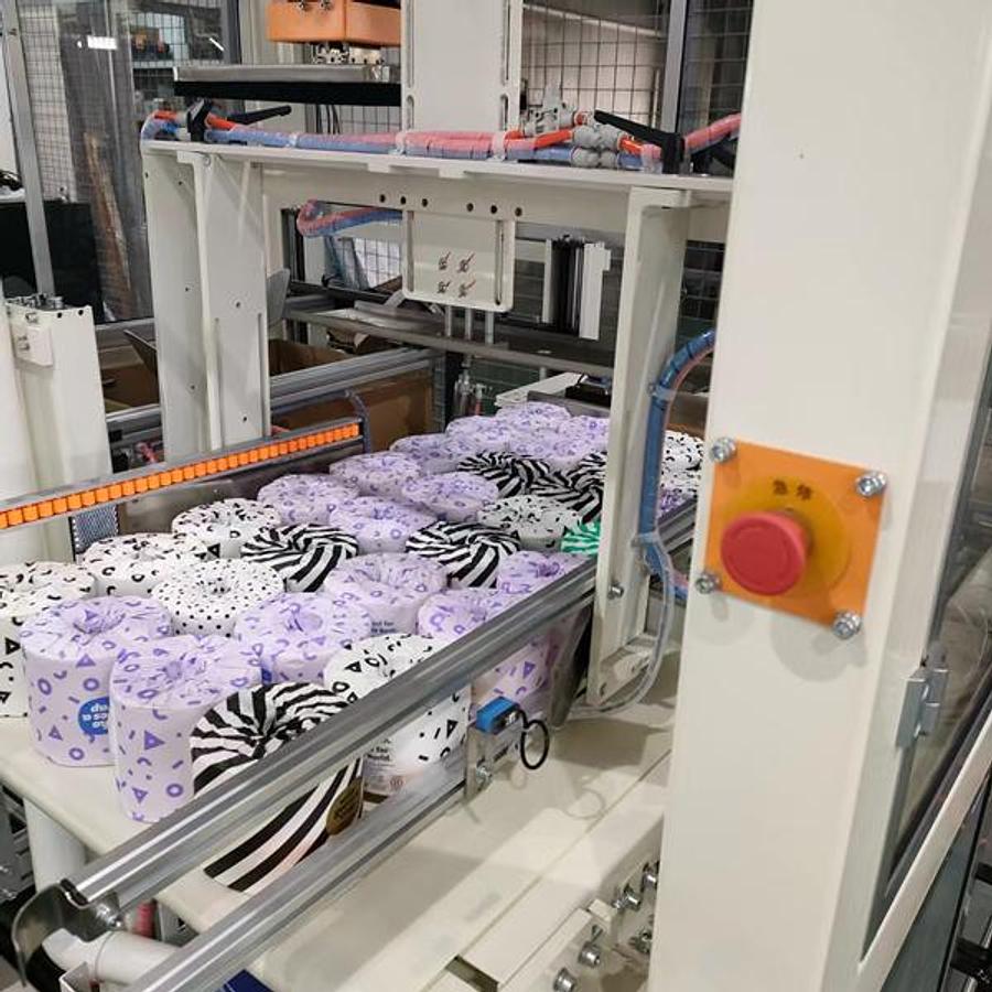 Automatic Case Packer Machine For Facial Tissue ZX660B