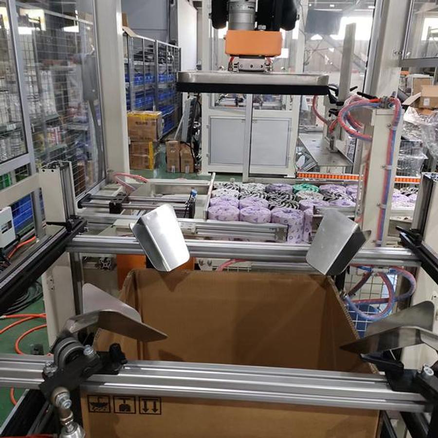 Automatic Case Packer Machine For Facial Tissue ZX660B