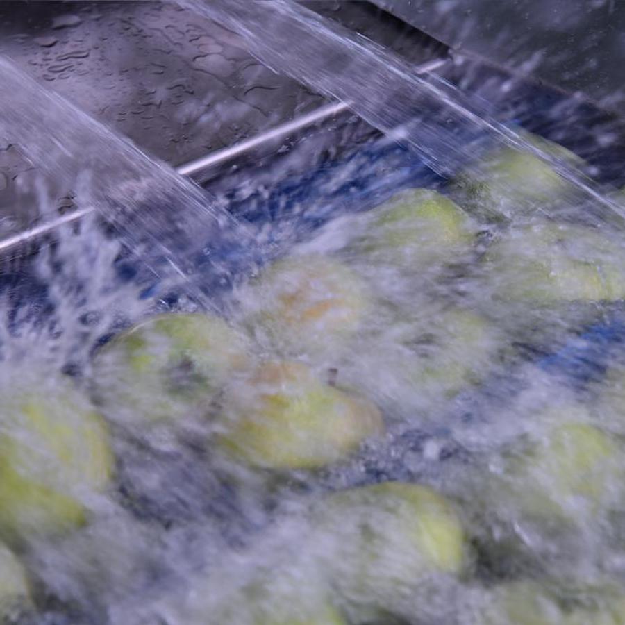 Fruit Washing Machine