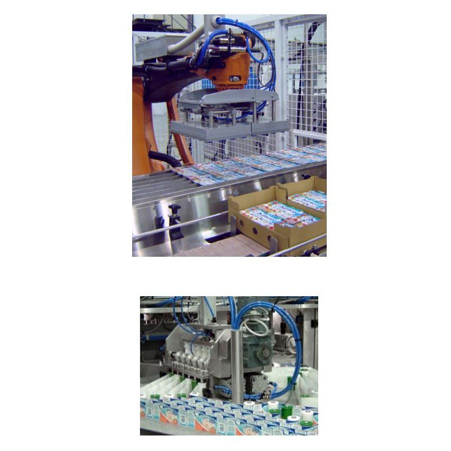 Thermoforming Machine for Various Packaging