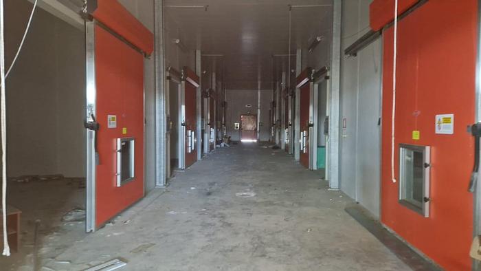 Usato IMPIANTO SELEZIONE E CONFEZIONAMENTO FRUTTA