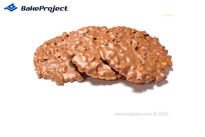 ROTOR LINE WKB-600 rotary molding line with conveyor and additional equipment