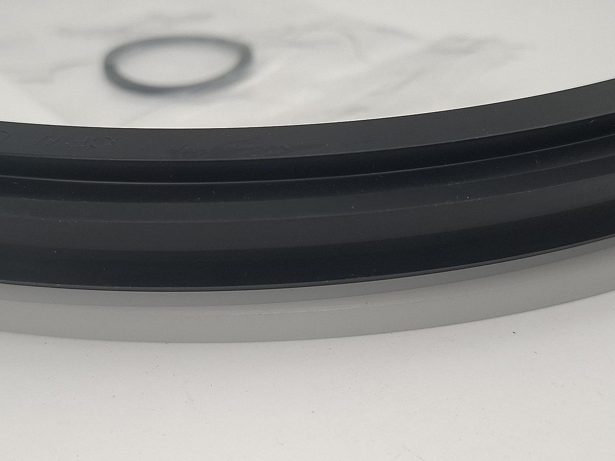 Doppelte Kolbenabdichtung für d250mm, 4202010959, UXS-23041-172, Bühler, neu