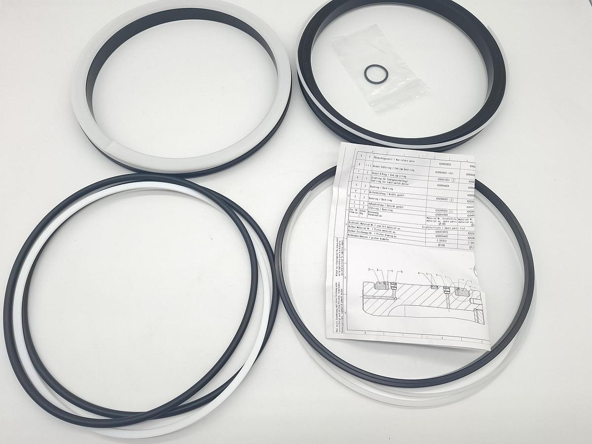 Doppelte Kolbenabdichtung für d250mm, 4202010959, UXS-23041-172, Bühler, neu