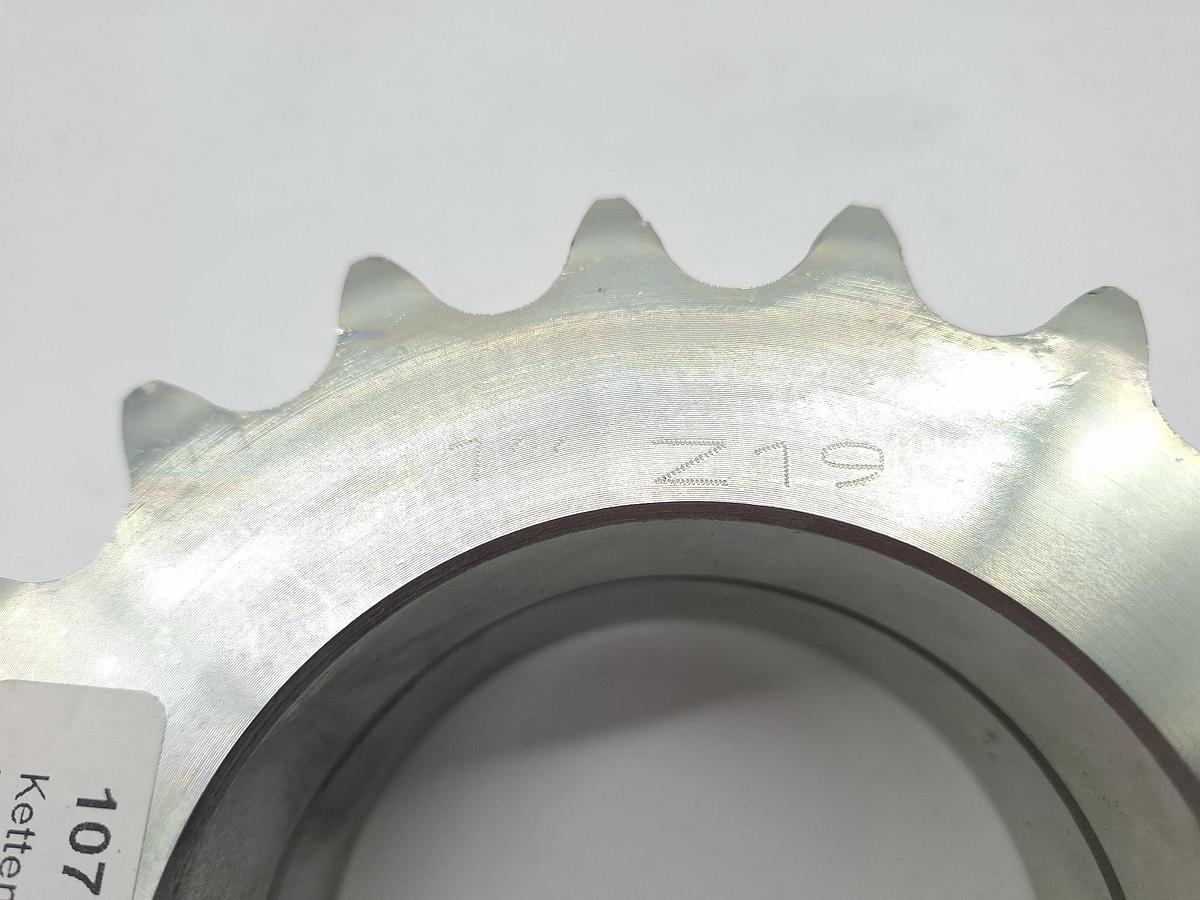 2 fach Kettenrad, Stahl, B21, Z19 , neu