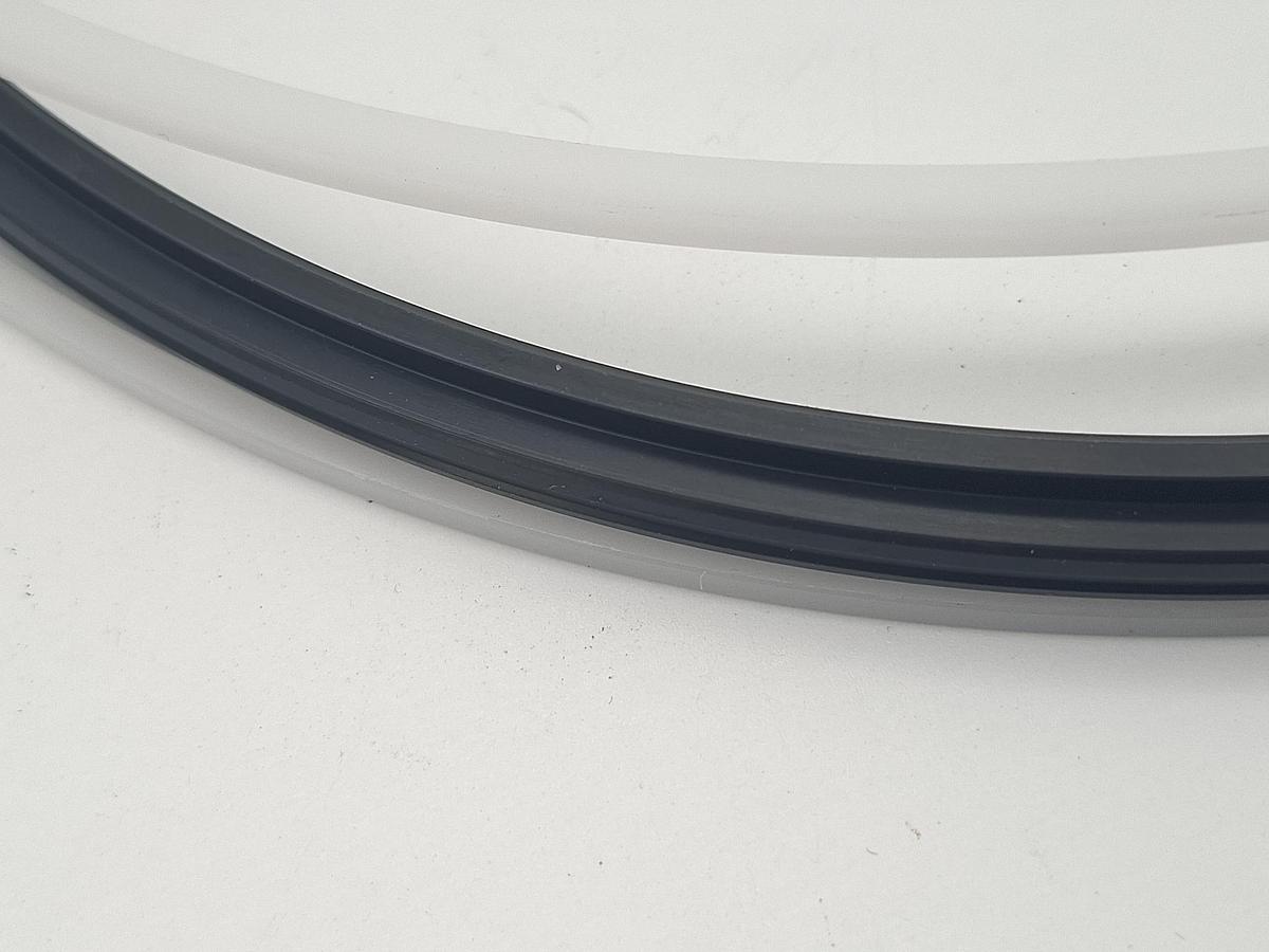 Doppelte Kolbenabdichtung für d250mm, 4202010959, UXS-23041-172, Bühler, neu