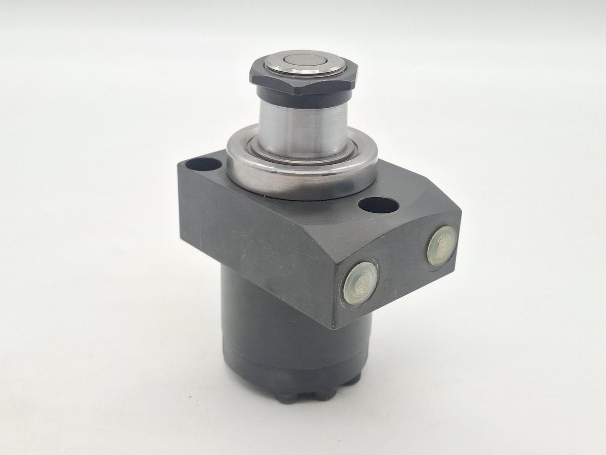 Doppelt wirkender Schwenkspanner mit Überlastsicherung, 1895203M, Roemheld, neu