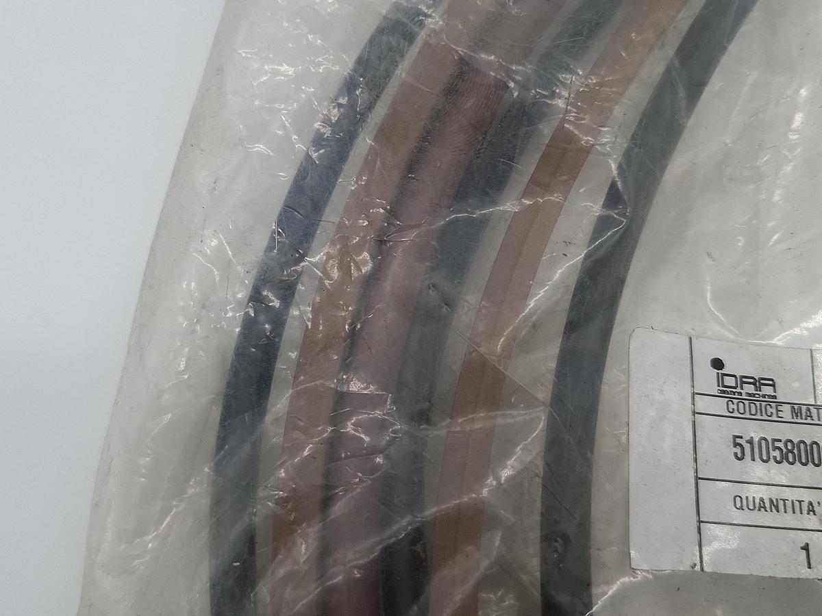 Dichtungssatz für Kolben d355 für Idra Druckgussmaschine, 51058006500103 Idra, neu